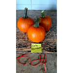 Early Abundance.jpg thumbnail
